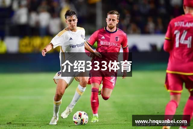 介绍333体育